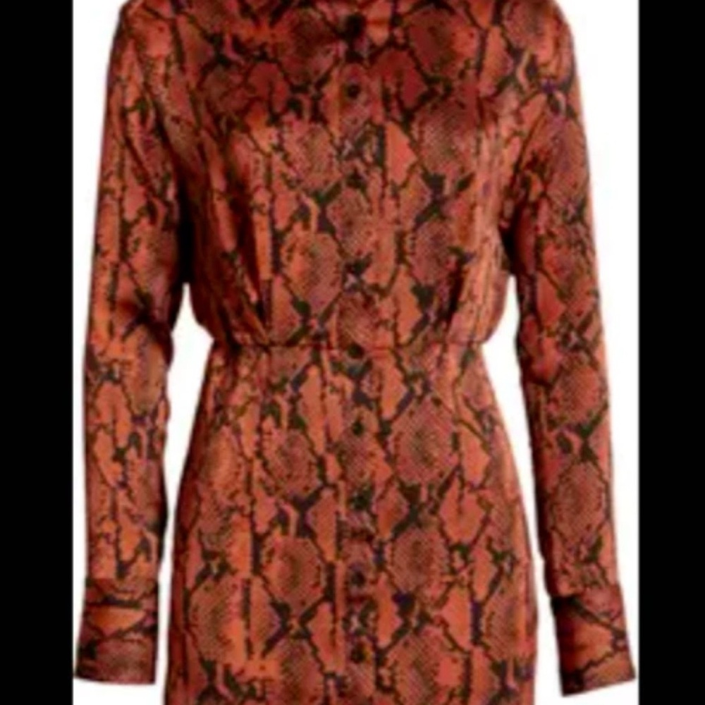 Women's Snake Print Mini Dress